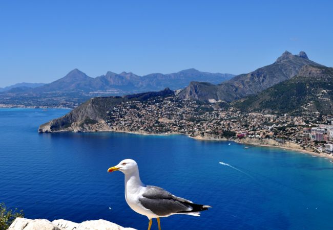 Villa en Calpe - MARYVILLA0220-Wifi y Parking Gratis-Cerca Playa Villa en Calpe - MARYVILLA0220-Wifi y Parking Gratis-Cerca Playa