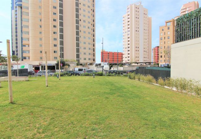 Apartamento en Calpe - MIRADORBEACH-1ºlínea Playa-Wifi y Garaje Gratis. Apartamento en Calpe - MIRADORBEACH-1ºlínea Playa-Wifi y Garaje Gratis.