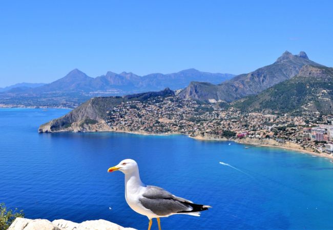 Ferienwohnung in Calpe - APLAYAMAR7-1ºlínea Playa-Wifi y Garaje Gratis. Ferienwohnung in Calpe - APLAYAMAR7-1ºlínea Playa-Wifi y Garaje Gratis.