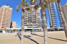 Ferienwohnung in Calpe / Calp - APLAYAMAR7-1ºlínea Playa-Wifi y Garaje Gratis.