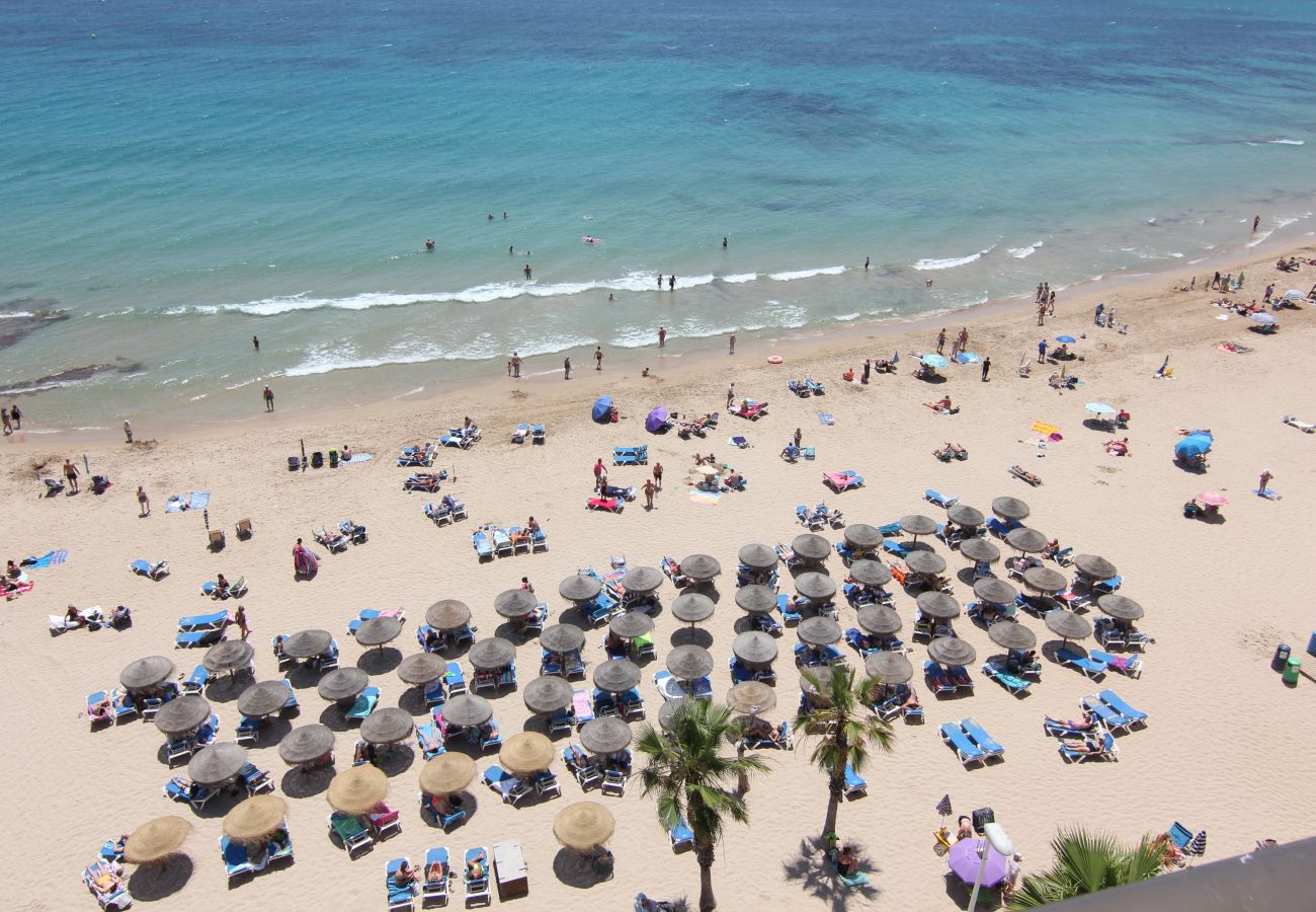 Apartment in Calpe / Calp - ACARIBEP-1ºlínea Playa-Wifi y  Apartment in Calpe / Calp - ACARIBEP-1ºlínea Playa-Wifi y